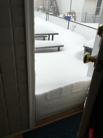 January 2016 snowstorm