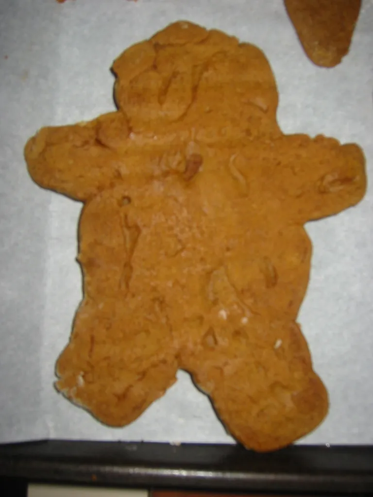 gingerbread burn victim