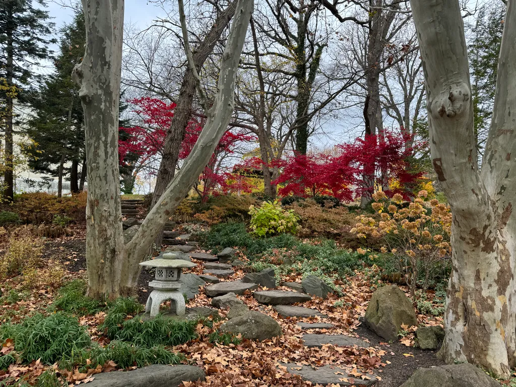 Buffalo's Japanese Garden