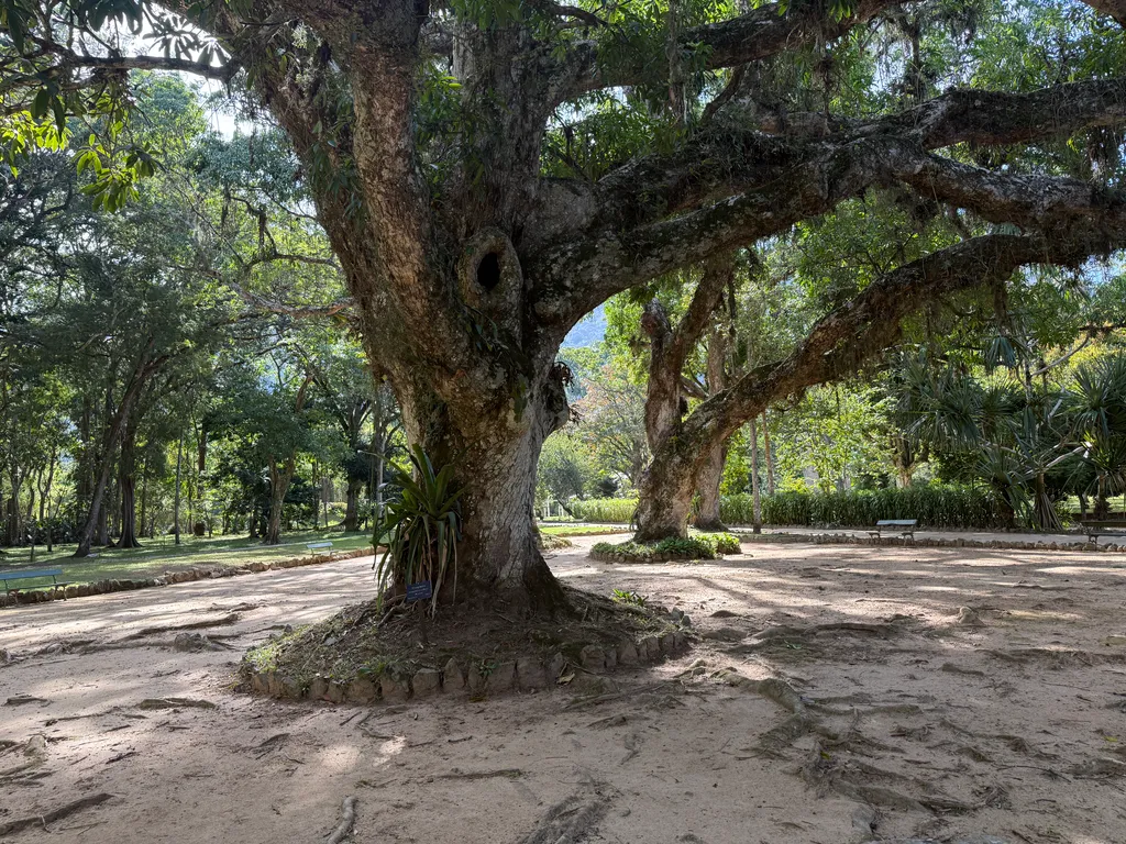the Botanical Garden in Rio