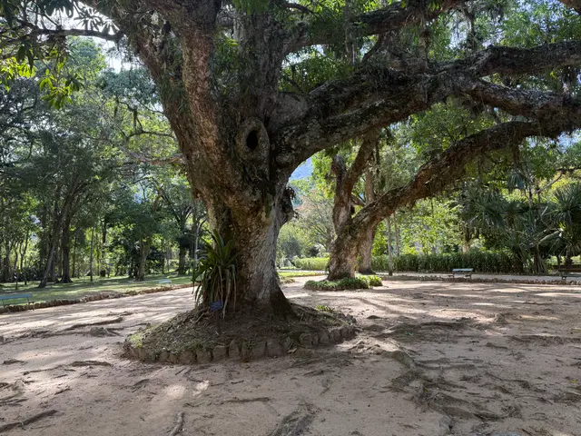 the Botanical Garden in Rio