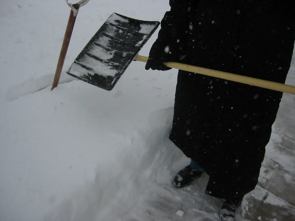 snowstorm, 2003-02, Gloria