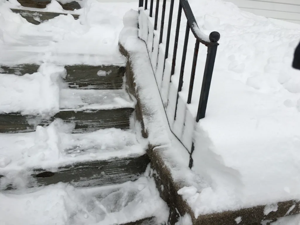 January 2016 snowstorm