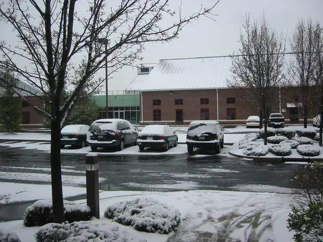 the lot at iqe
