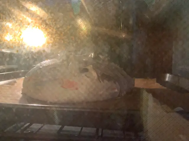 pavlova