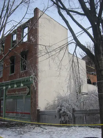 alphagraphics and tree
