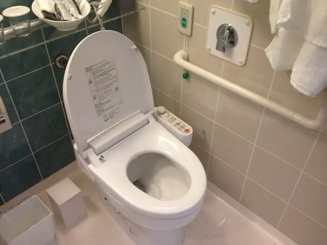 hotel toilet