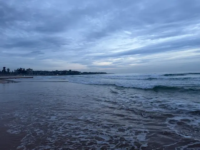 at Manly Beach