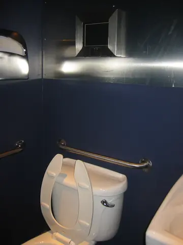 toilet and tiny display