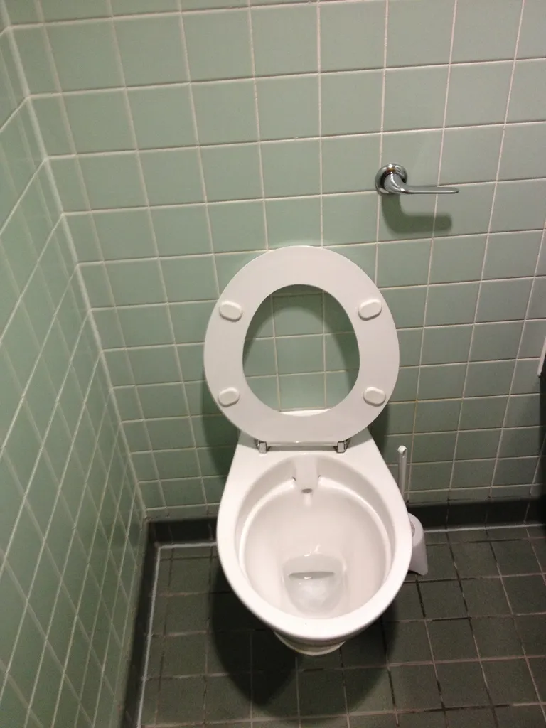 hackathon toilet