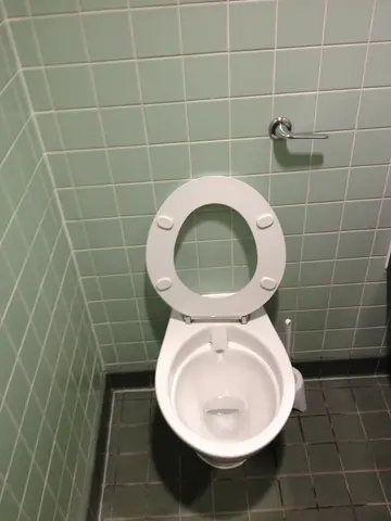 hackathon toilet