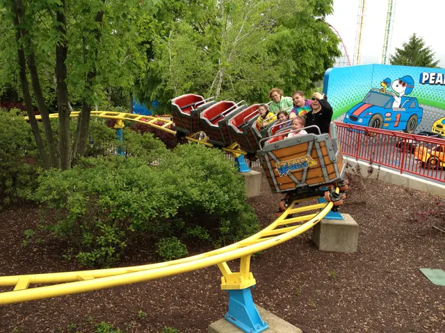The Woodstock Express
