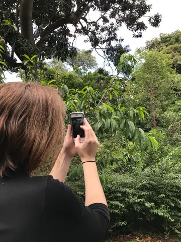 Sydney botanical gardens