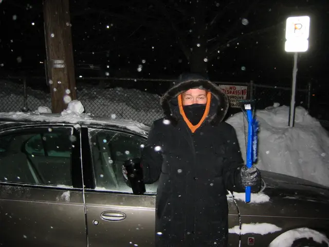 snowstorm, 2003-02, Gloria and Car