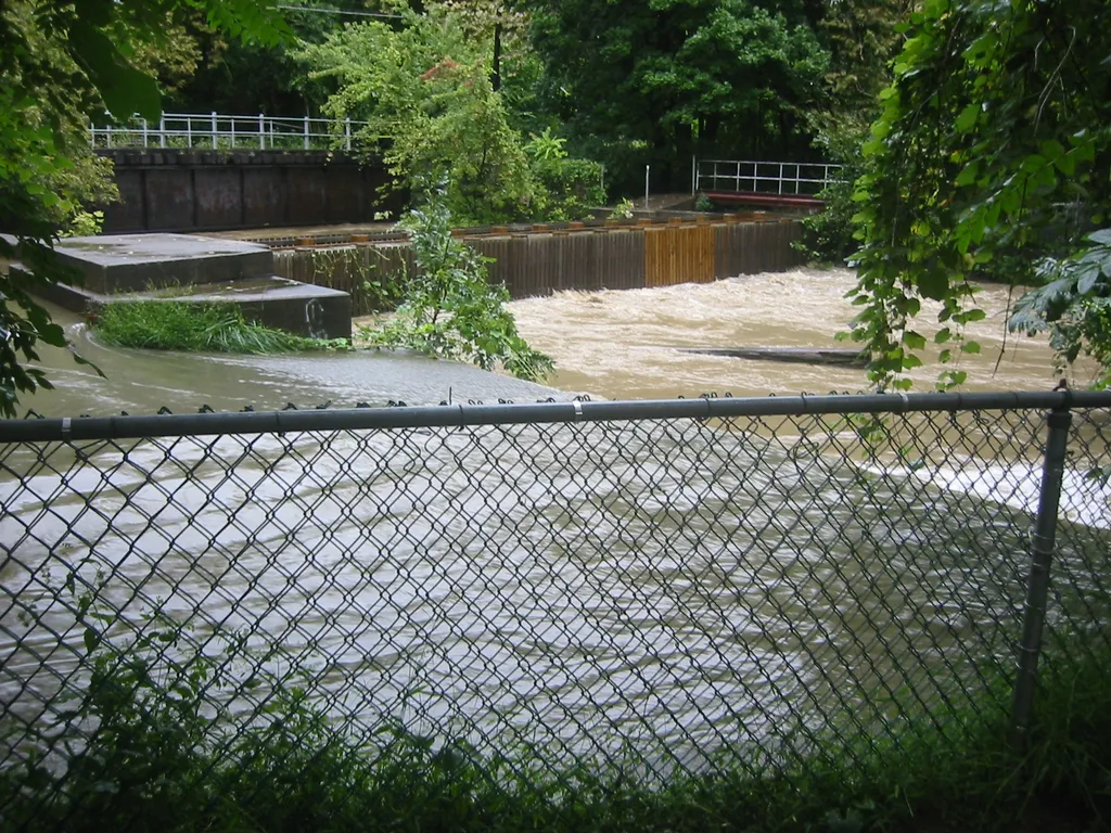 the flood, 2004, img_1834