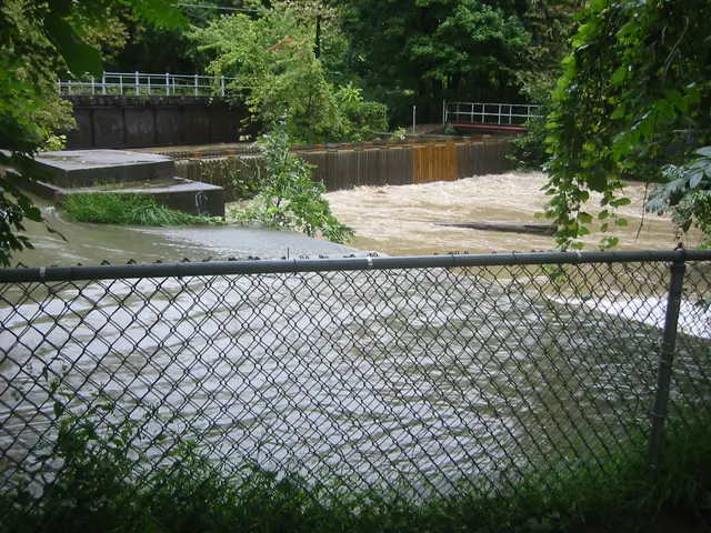 the flood, 2004, img_1834