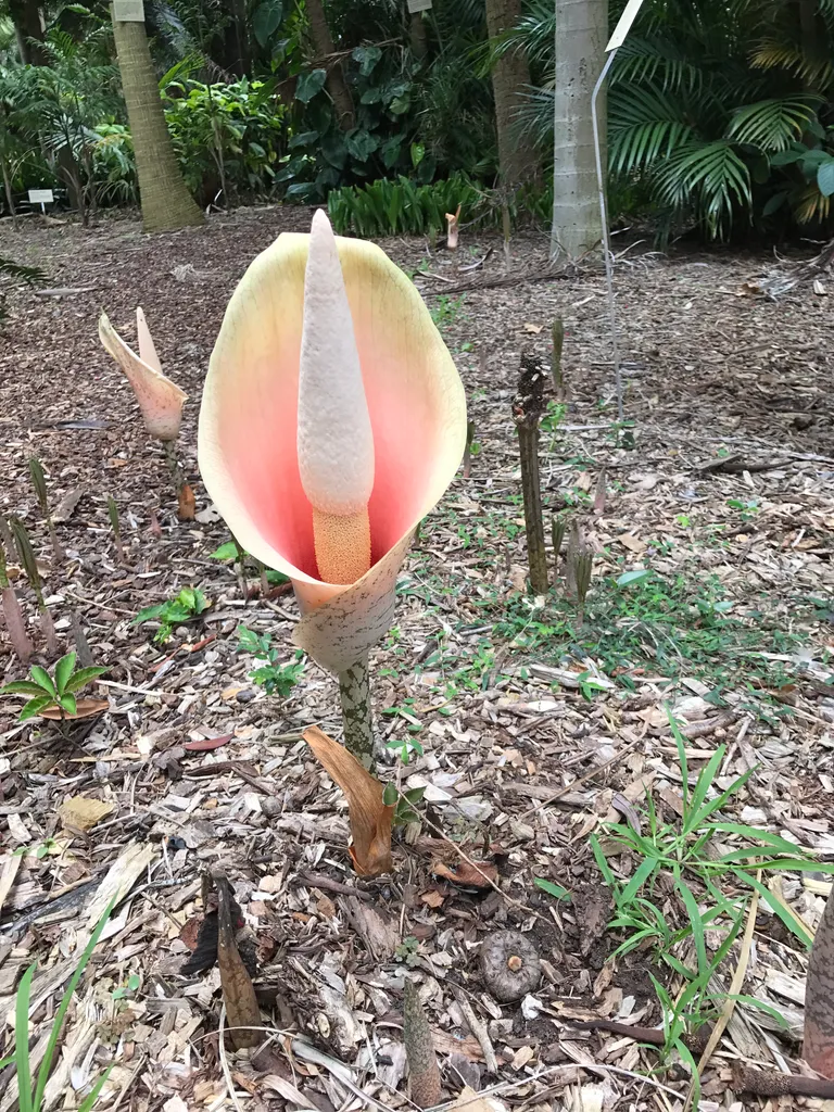 what even is this thing?