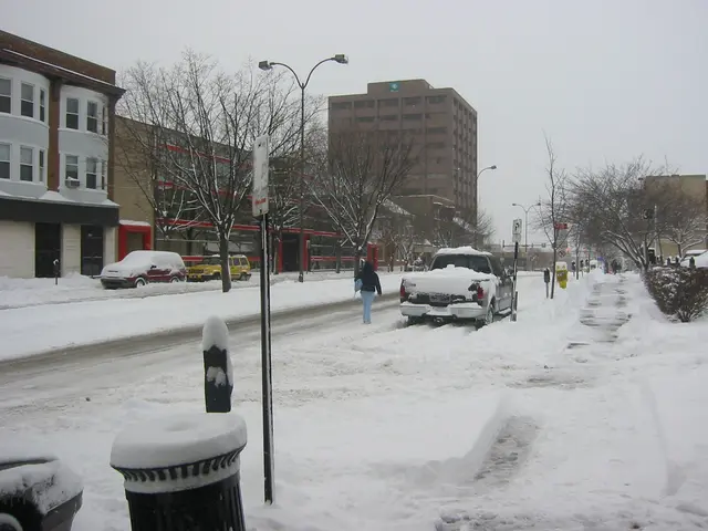 snowstorm, 2003-12, img_1001