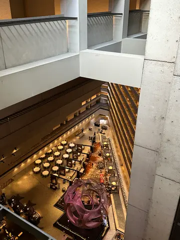 views from the atrium