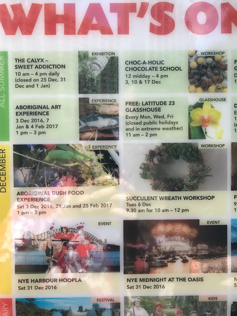 "succulent wreaths"