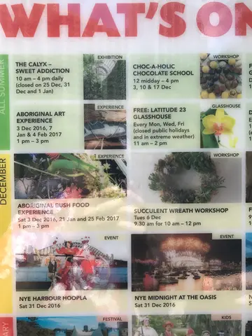 "succulent wreaths"