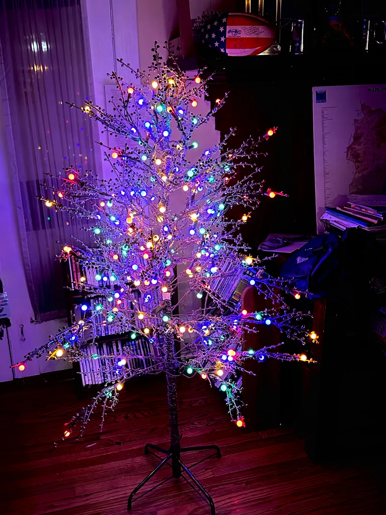 Christmas tree!