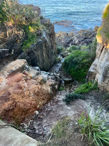 bushwalk