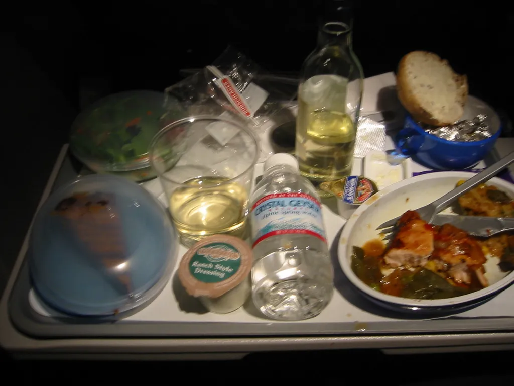airline food
