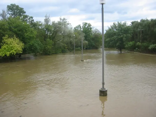 the flood, 2004, img_1870