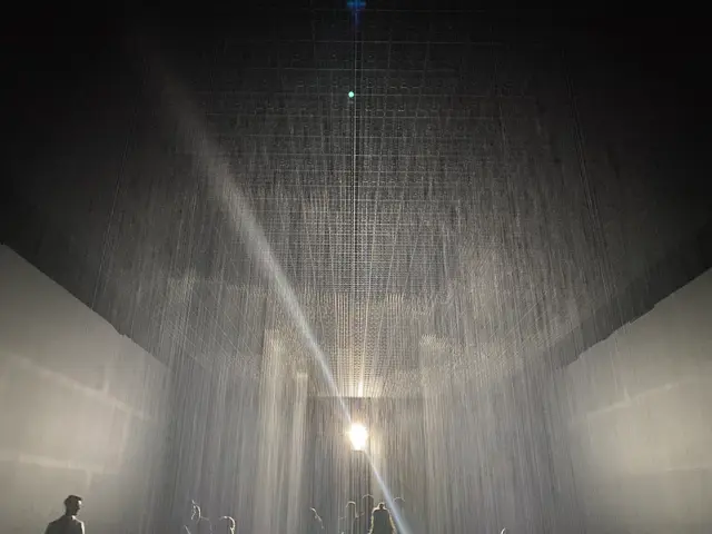 the rain room