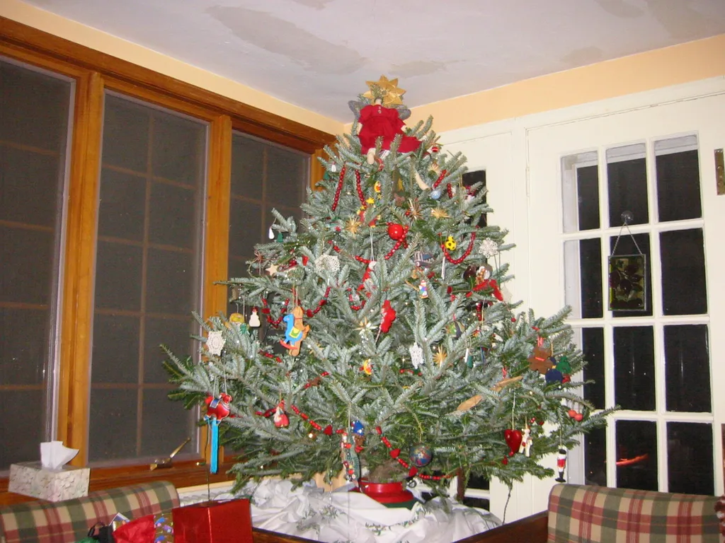 christmas, 2003, img_1037
