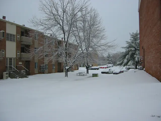 White Christmas!