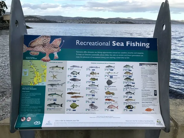 guide for fishers