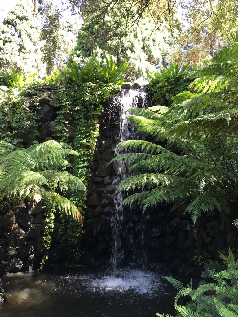 Fern Gully