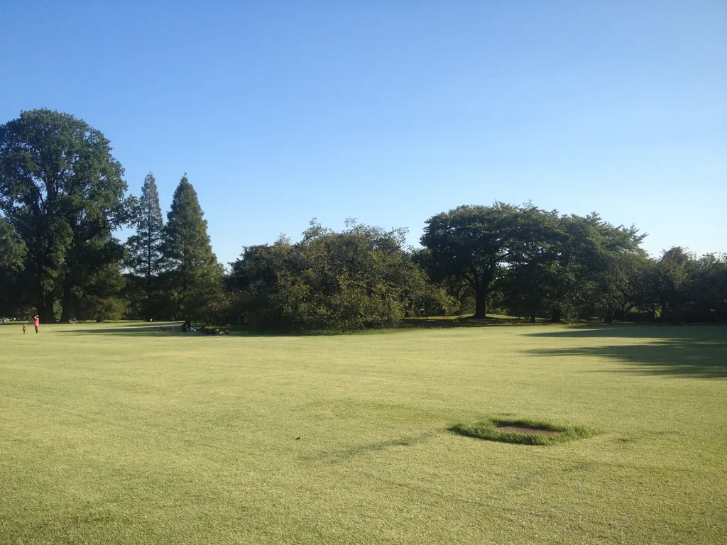 Yoyogi Park