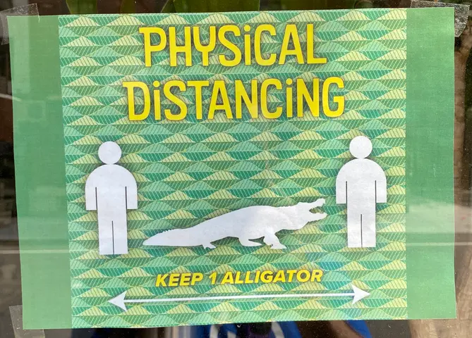 one alligator apart