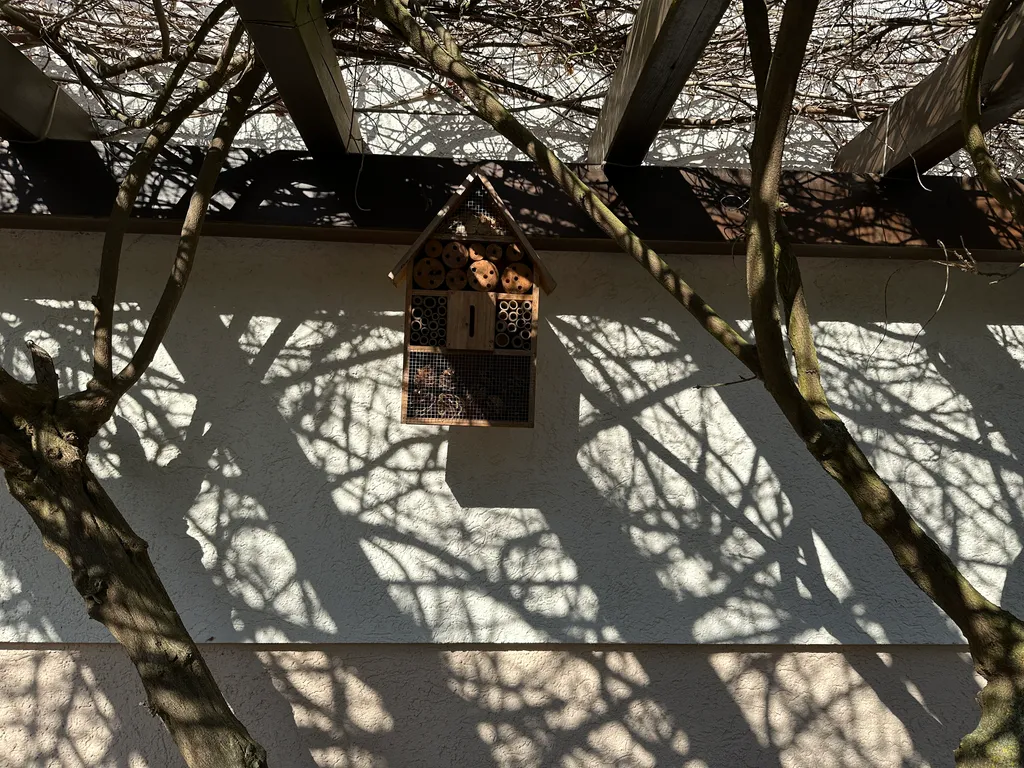 bird feeder at Windmühlenweg