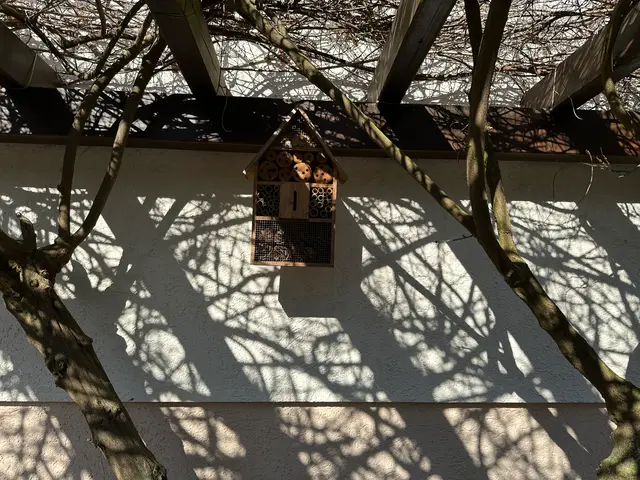 bird feeder at Windmühlenweg