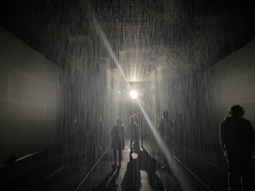 the rain room