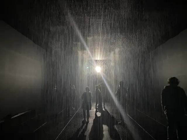 the rain room
