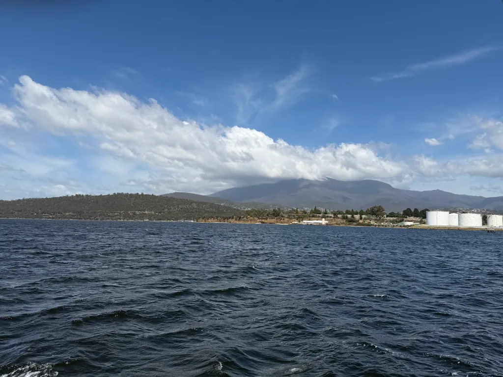 from the MONA ferry