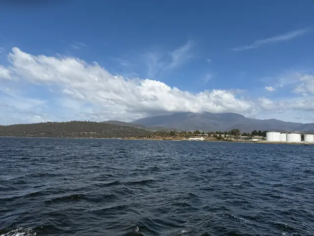 from the MONA ferry