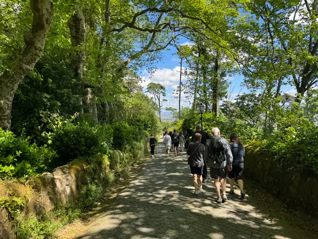 Sintra, headed to the Moorish Castle