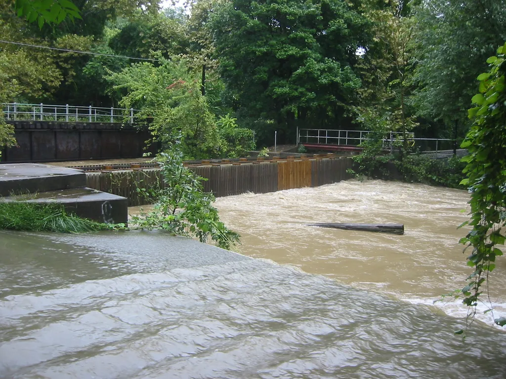 the flood, 2004, img_1835