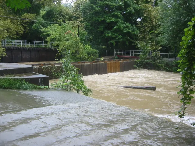 the flood, 2004, img_1835