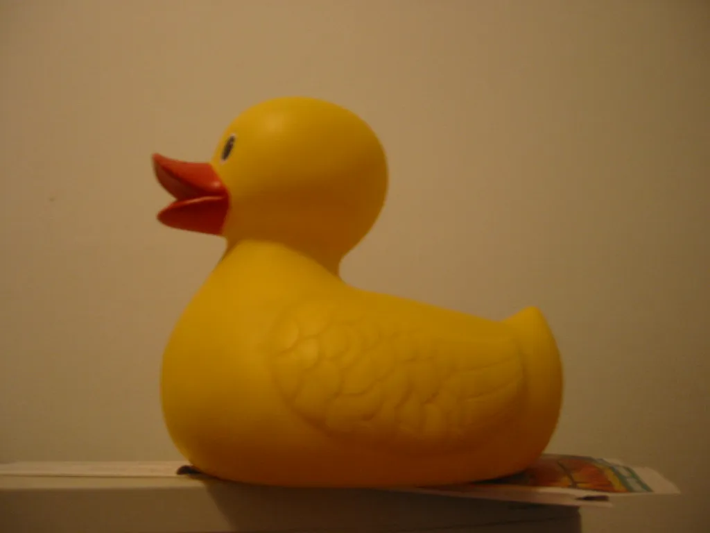 duck
