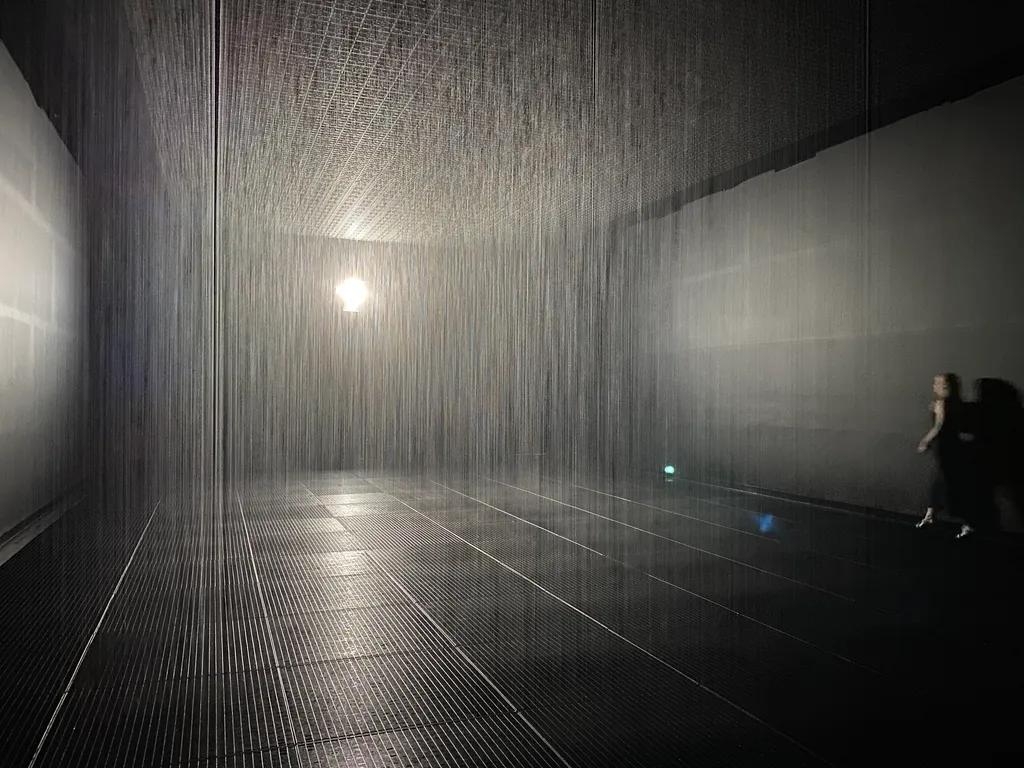 the rain room
