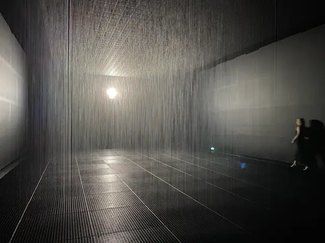 the rain room