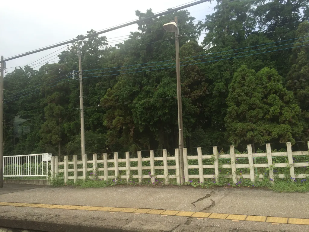Nikko/Tokyo train ride