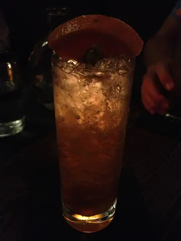 hopped gin and tonic